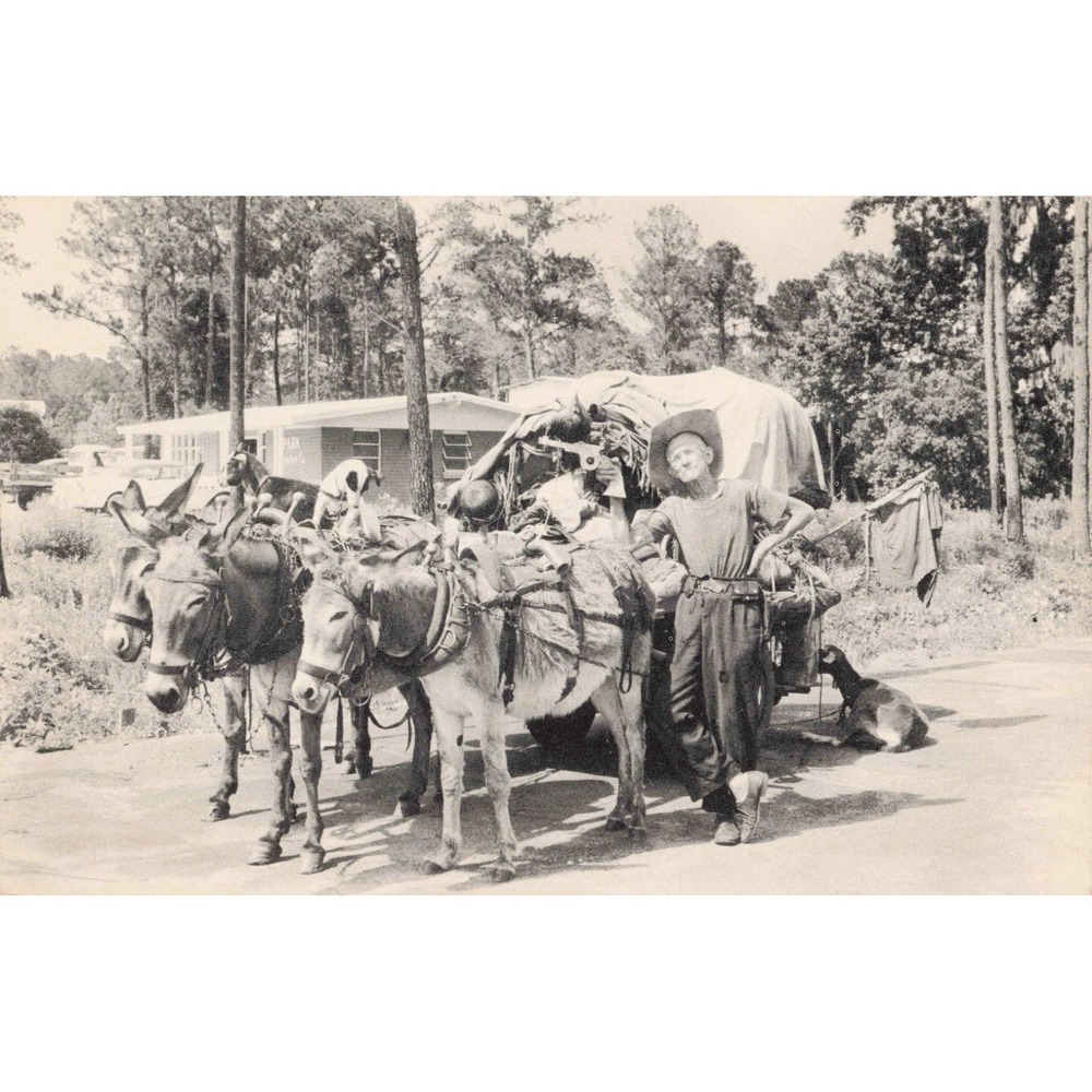 Vintage Orville Ewing Artist Traveler 1957 Jacksonville Florida Postcard VG+ - Picture 1 of 2